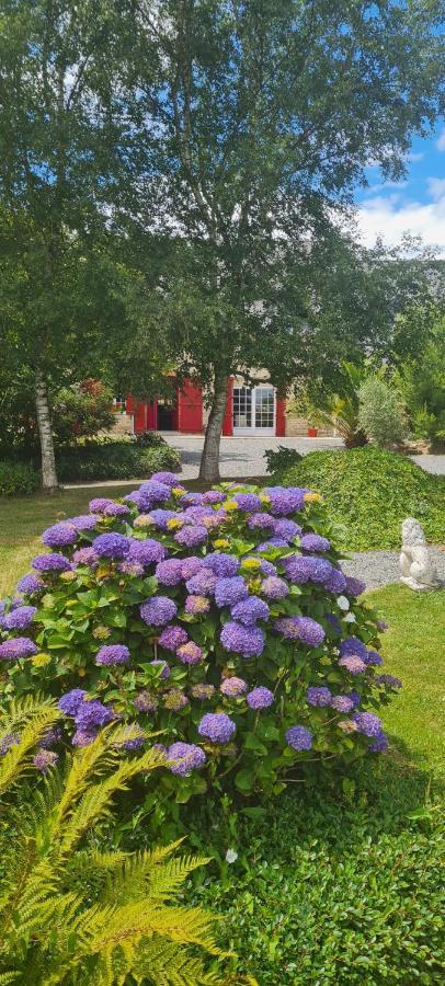 La Pichonniere Bed & Breakfast Isigny-le-Buat Phòng bức ảnh